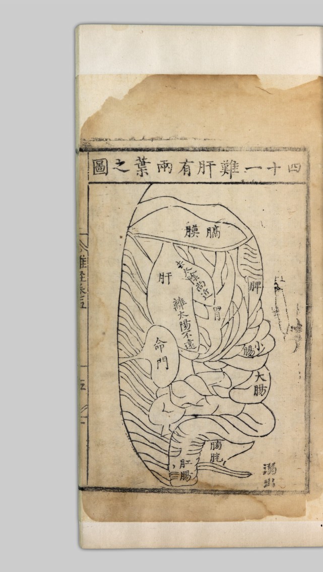 汉字繁体字查询,肛字读音