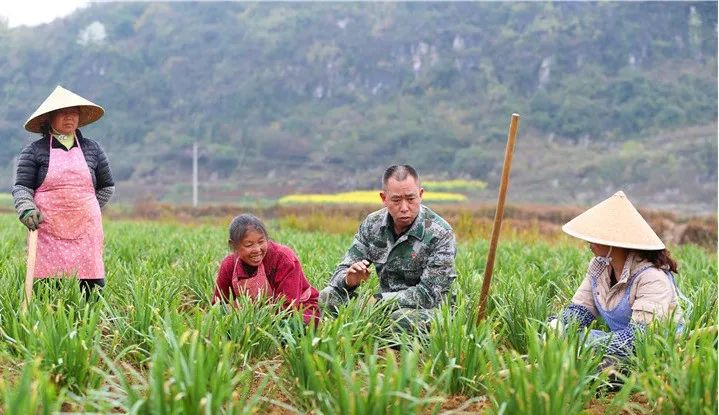病退军人20万住房补贴发放文件,退役军人保障法有关住房补贴文件