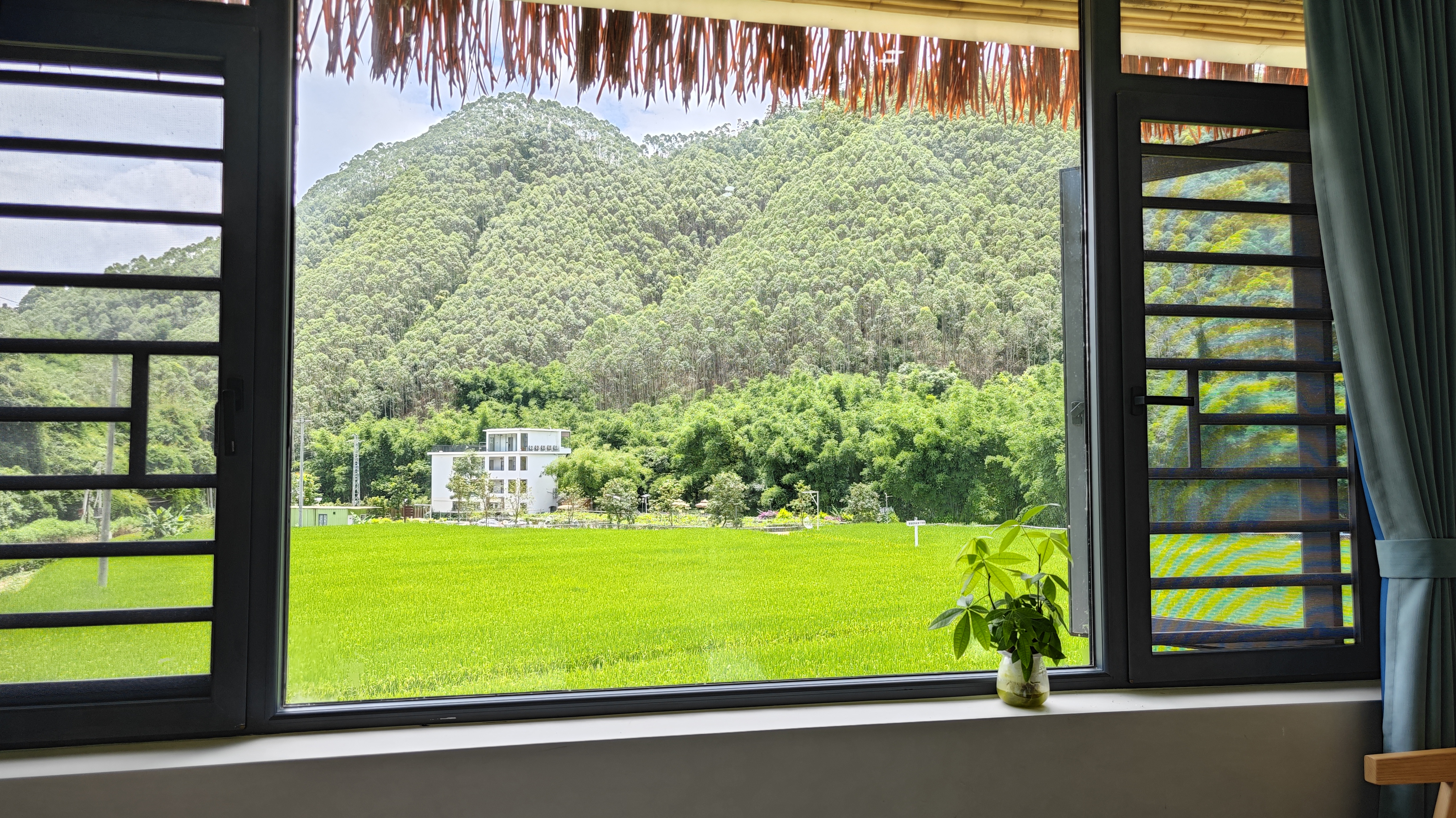 罗浮山温泉品质特色民宿推荐,惠州罗浮山脉下的乡野秘境民宿