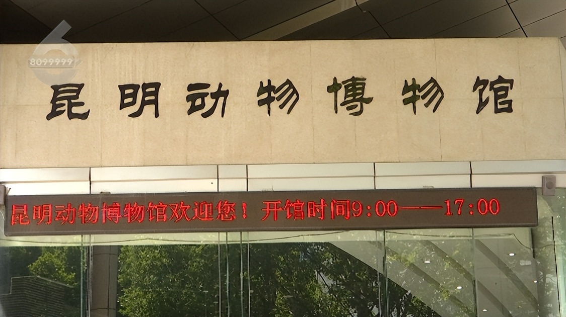 记者实地探访生活物资保障,记者实地探访封控区物资配送