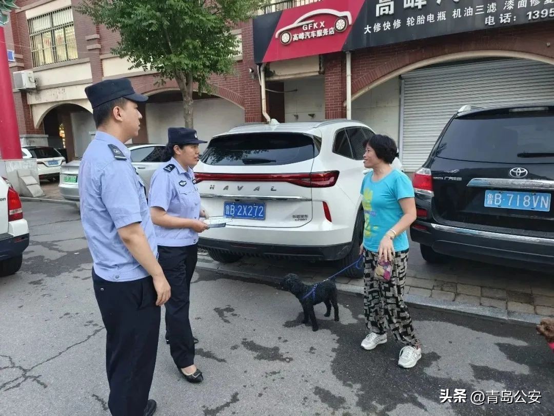 胶州家养狗,胶州禁养什么犬