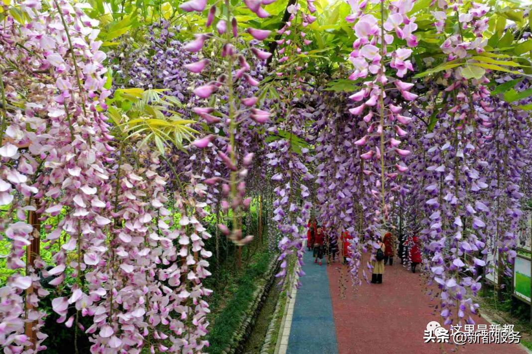 芳华微马公园好耍不,芳华微马公园有什么玩的