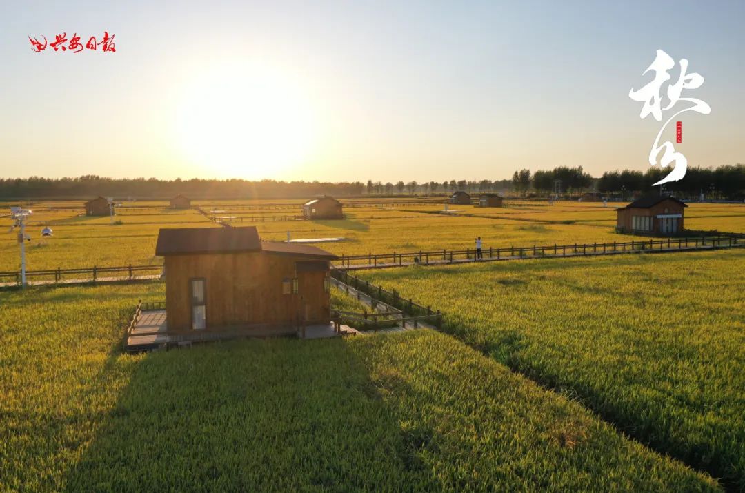 二十四节气之秋分丰收,秋分节气平分秋色