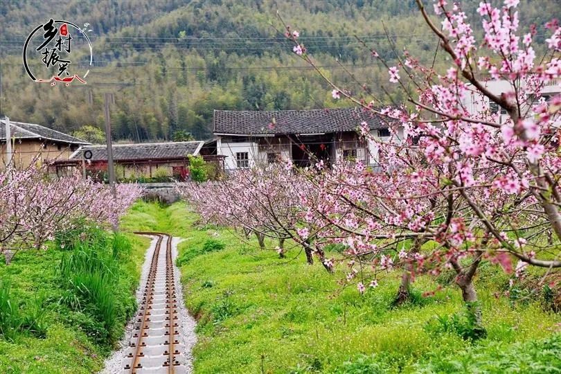 春分节气趣味民俗你了解多少,春分节气的特点和风俗文字