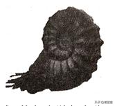 2021年江苏省苏州市初中生物结业考试