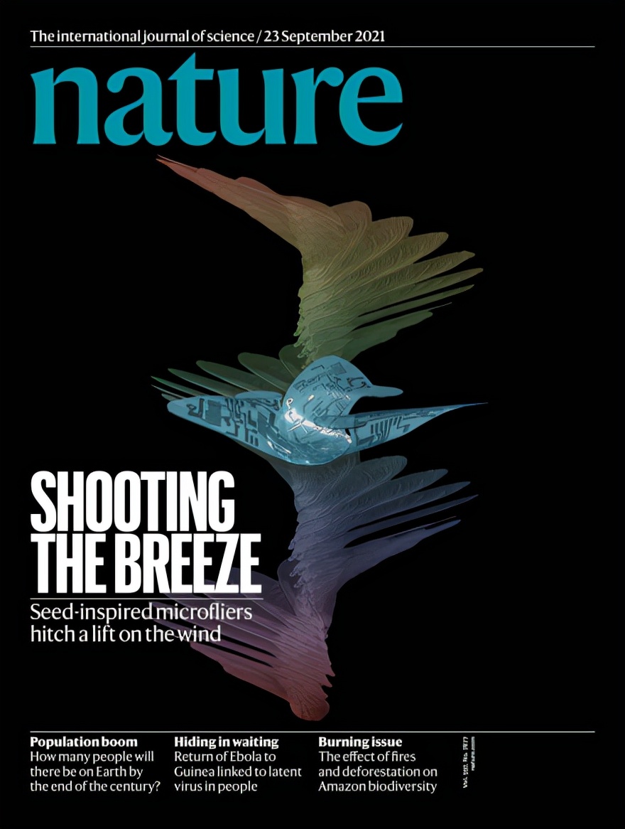 中国顶级无人机芯片,史上最小的芯片