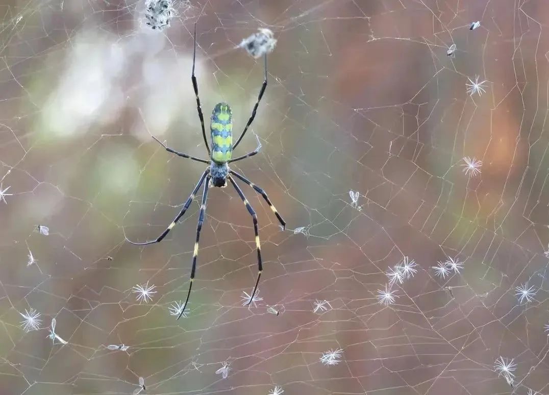 搬离城市，坐火车上班的年轻人：获得了真正的快乐！