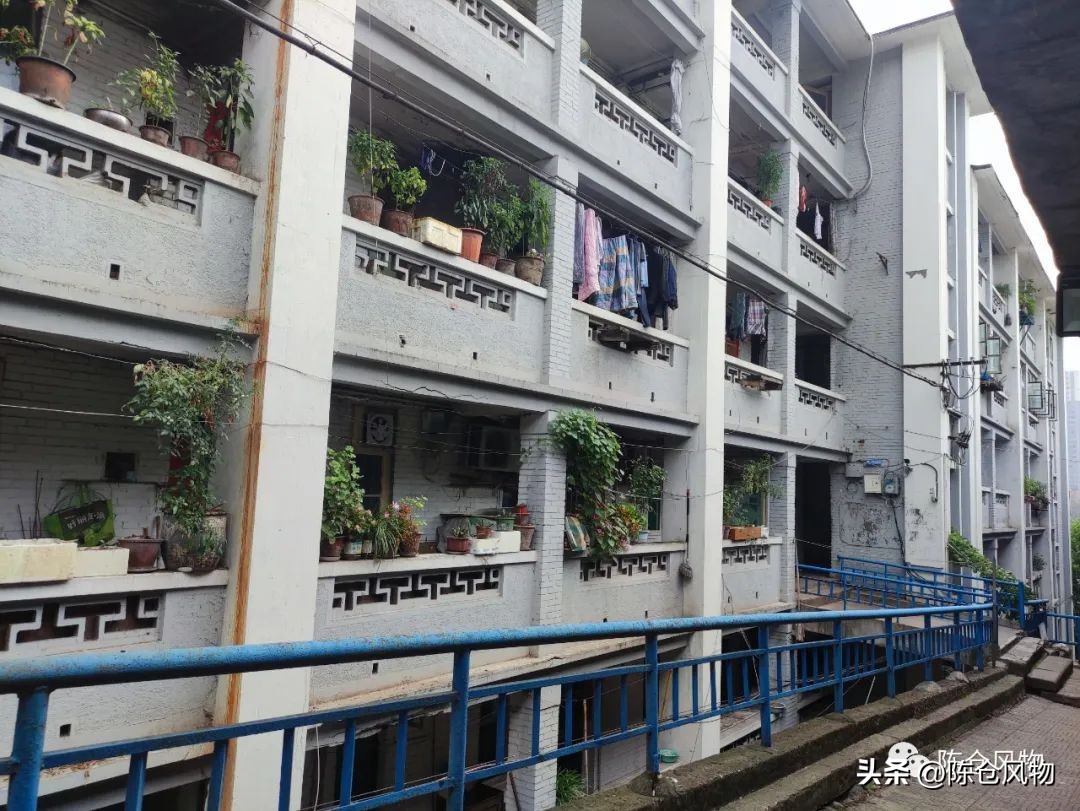 吃水不忘挖井人致富不忘家乡人,吃水不忘挖井人扶贫