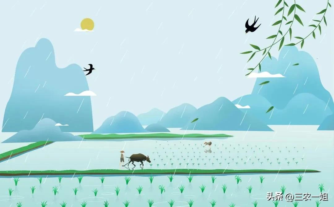 明日三月初一谷雨，“谷雨在月头，寡妇不用愁”，今年收成好吗