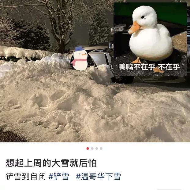 多伦多-20℃喜提2年最低温！今年加拿大天气太迷了