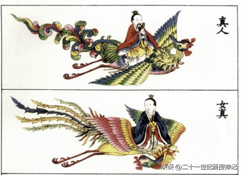 天干十神兽的故事（三）有凤来仪，变化万千，从神话飞入现实