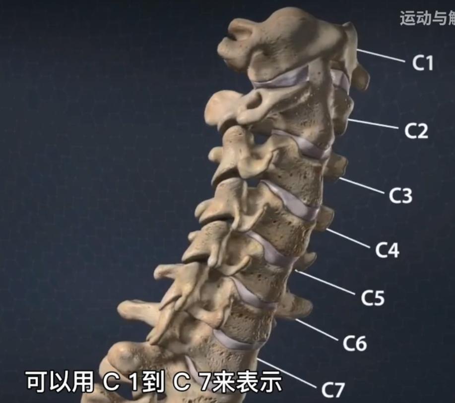 外科医用手术电钻,电外科手术器械有哪些