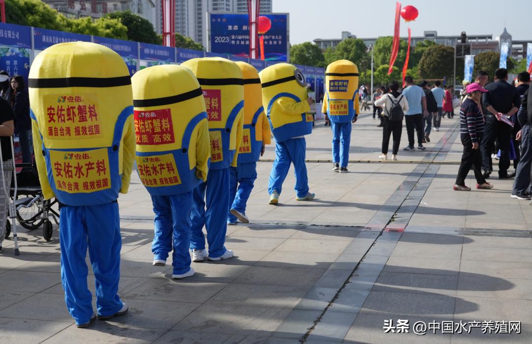 2023年南县小龙虾价格行情,南县小龙虾价格报价