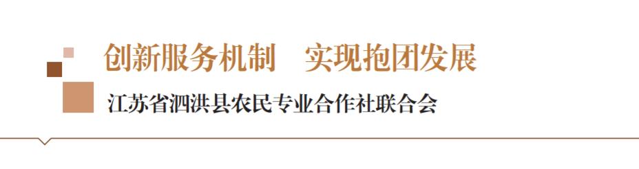 推进农民合作社联合发展,农民合作社创新服务方案