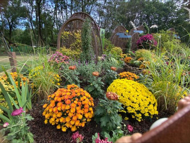 助人助己满分作文,助人就是助己100字作文