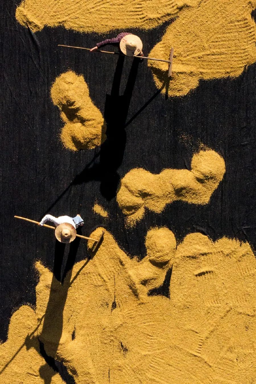 倾情荐读：时间的名字