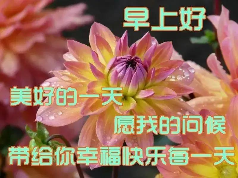 2023年农历是什么年癸卯年,农历2023年癸卯年正月结婚吉日