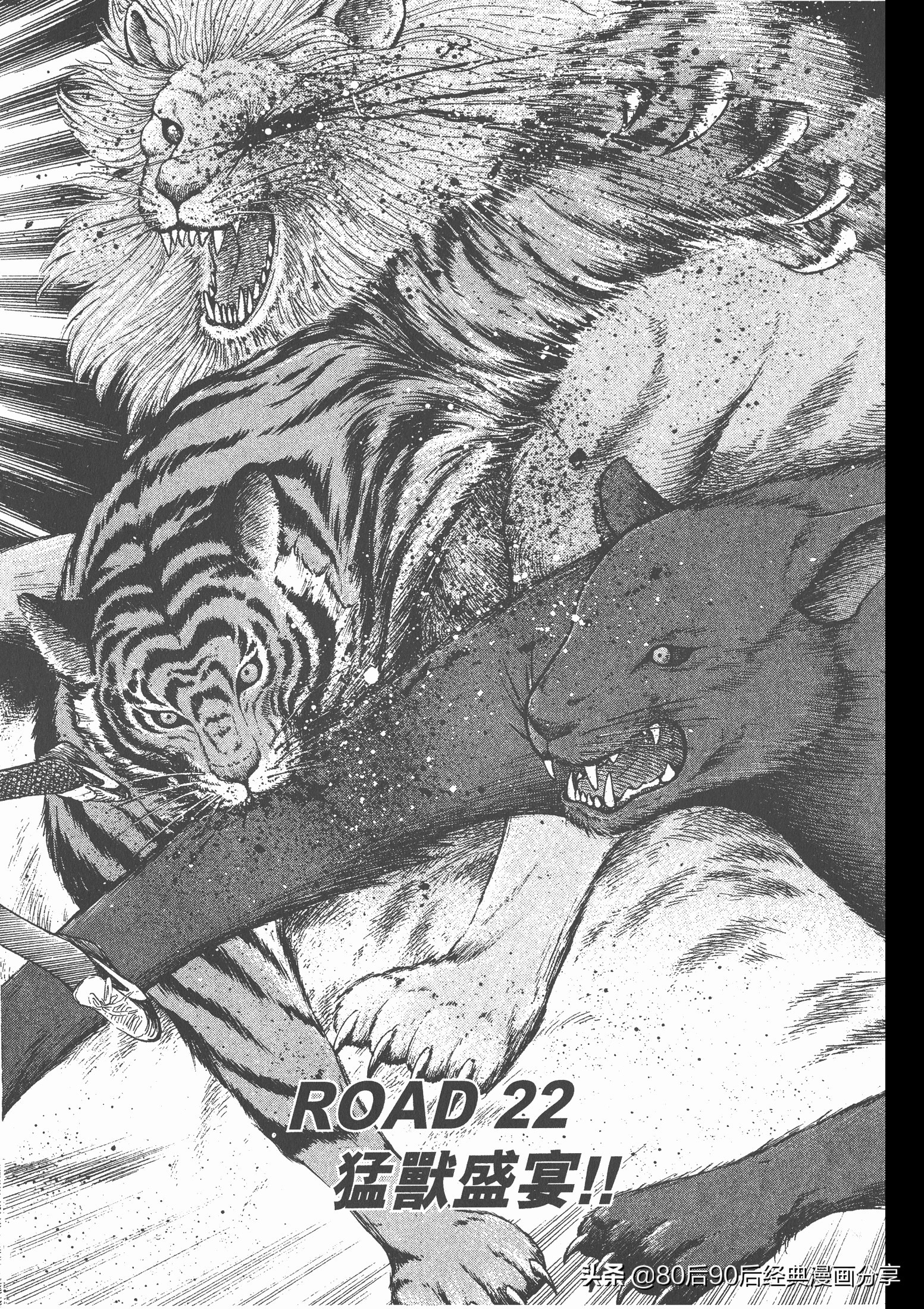 roadto2002,瓒崇悆灏忓皢road瑙ｈ