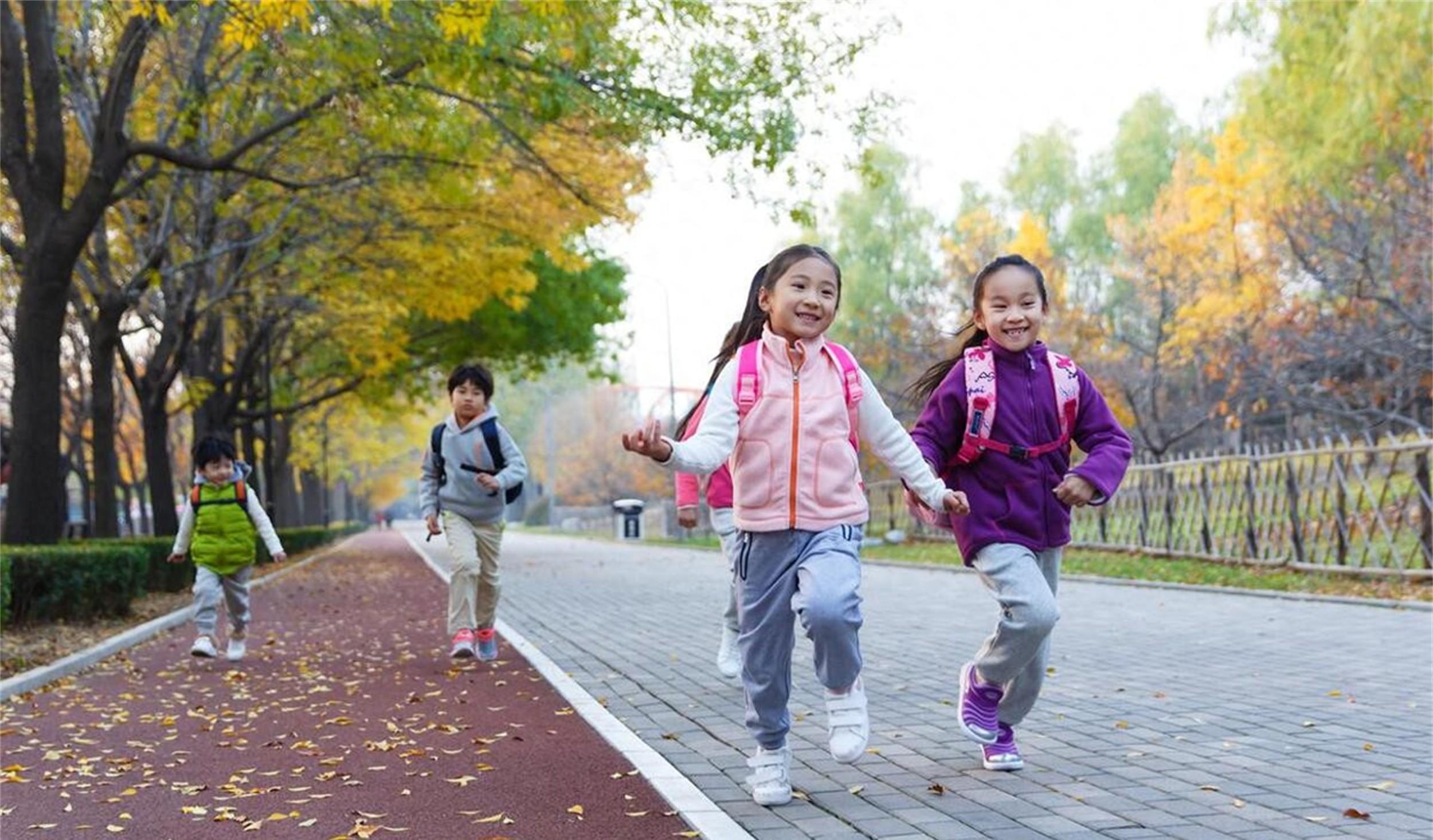 蛏子和牛肉哪个更补铁,蛏子和生蚝哪个更补铁