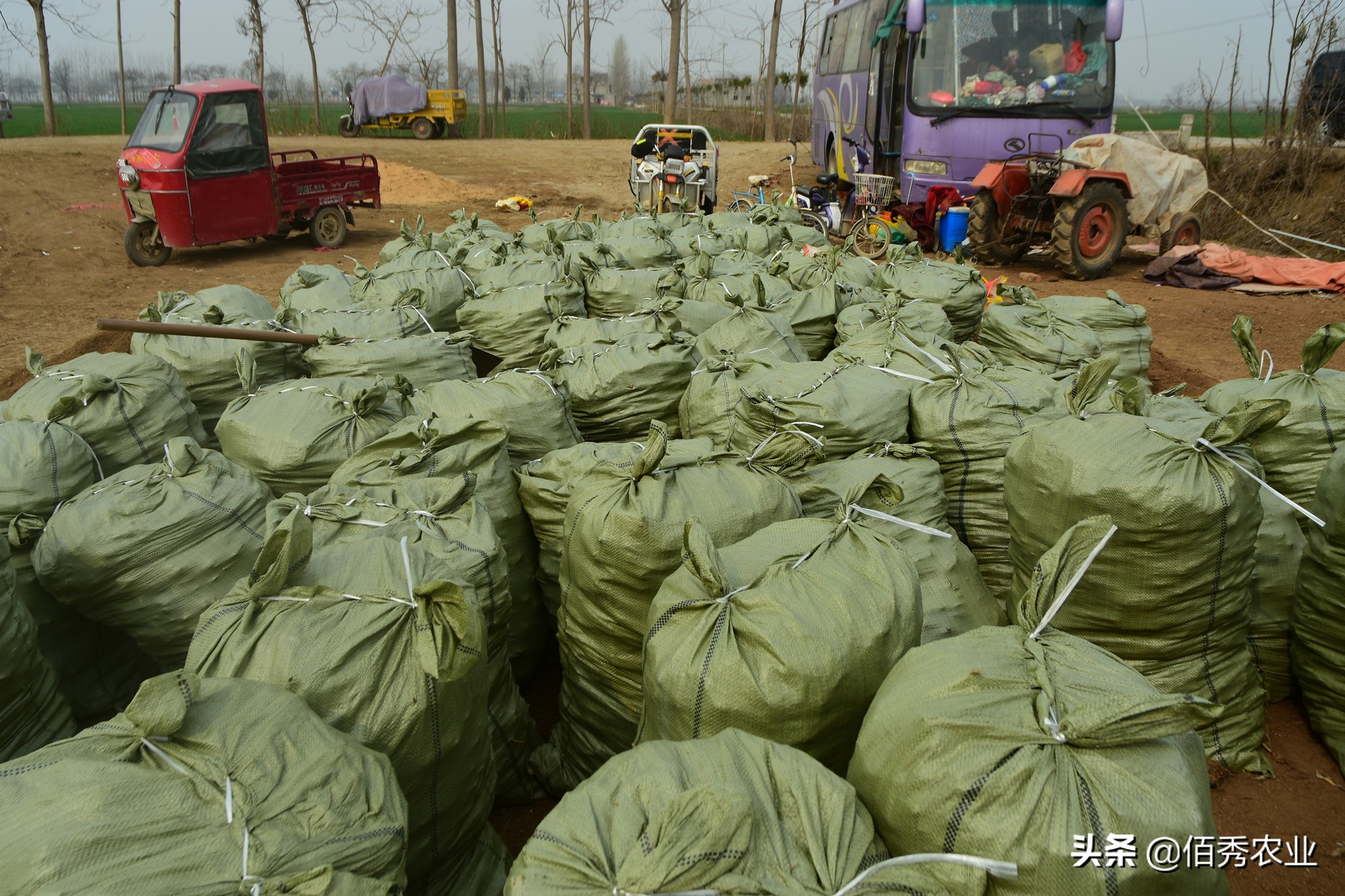 中药材价格上涨存在的问题,中药材涨价背后推手
