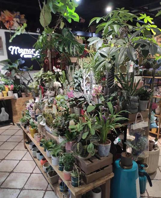 餐饮正餐加盟店最火爆的项目,砂锅做快餐还是休闲正餐