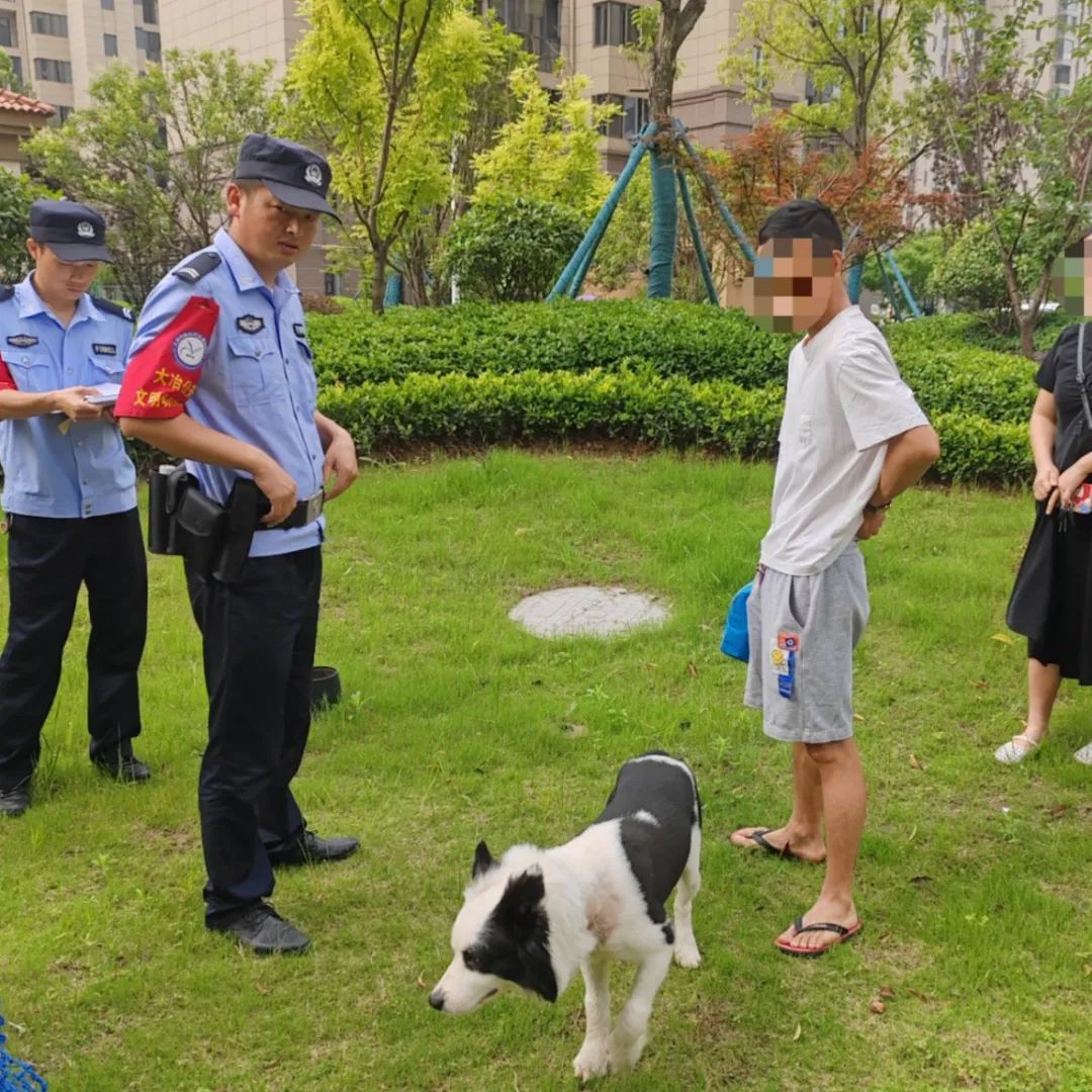 文明城市因不文明养犬被处罚,抚顺整治不文明养犬