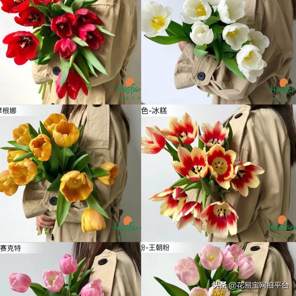 情人节送花送什么最好,情人节送花什么花可以放的时间长