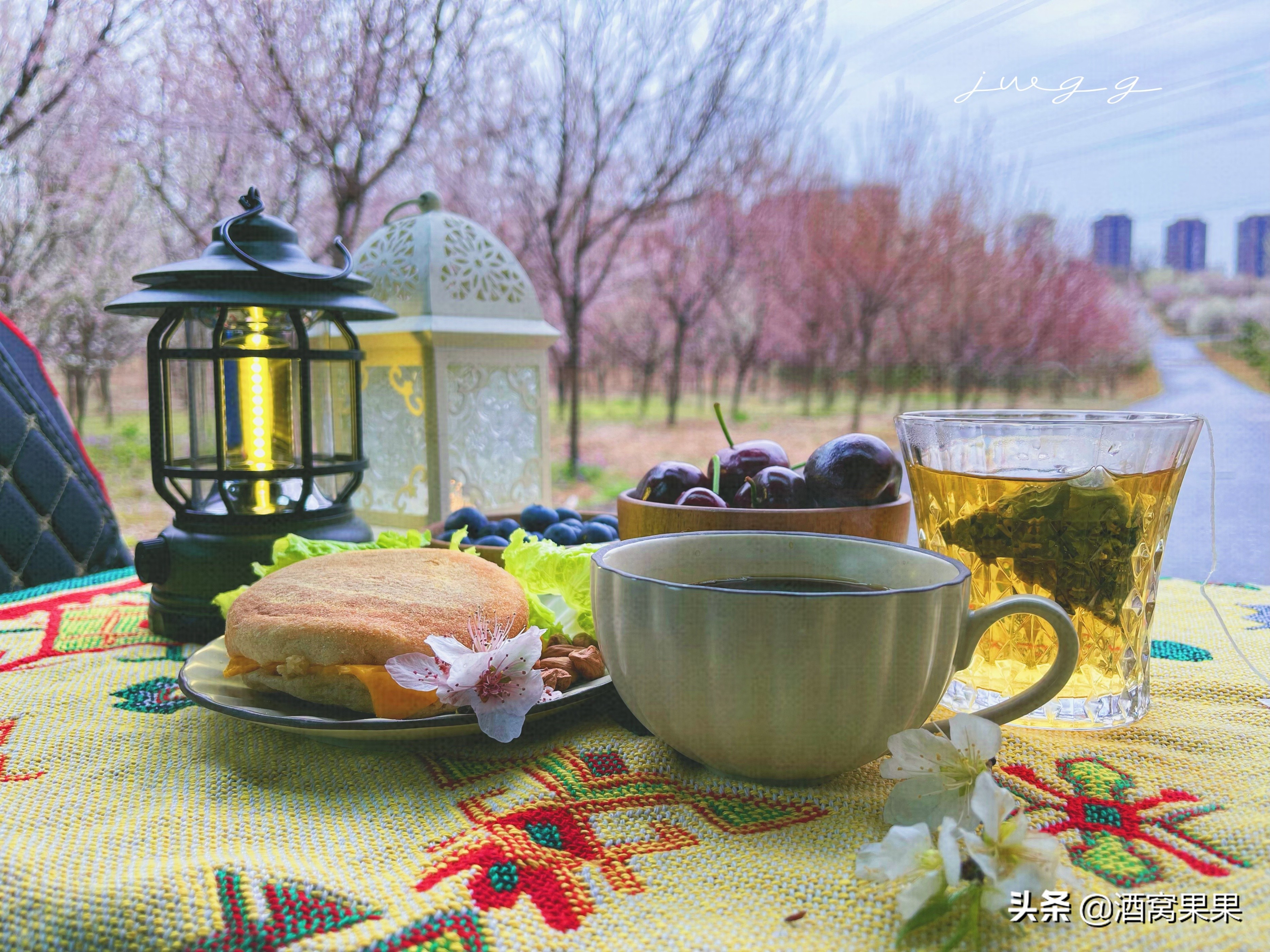 大连湾体育公园，十里桃花，不要门票停车免费还可露营遛娃