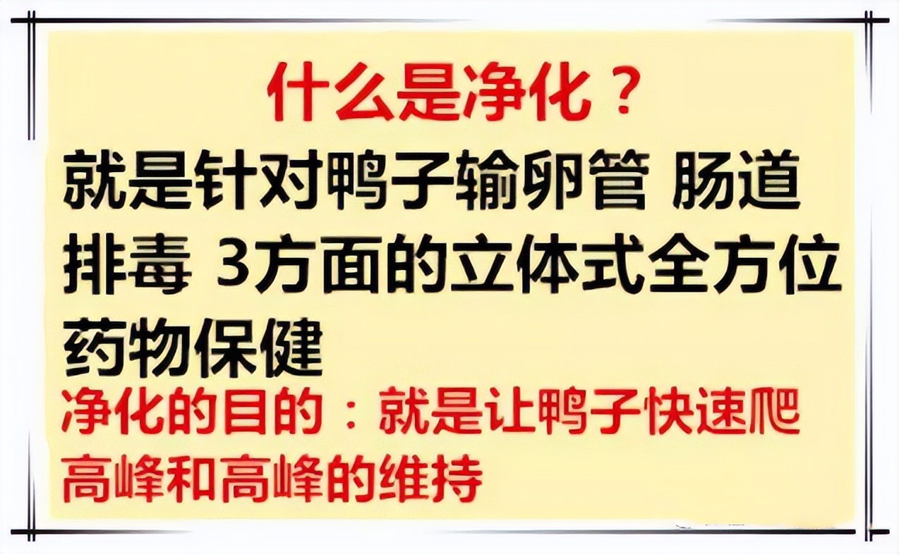 鸭子下软蛋是什么原因,鸭子下软蛋喂什么药