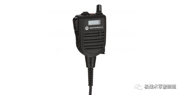 虎年说虎科普视频,虎年说虎运用了哪些说明方法