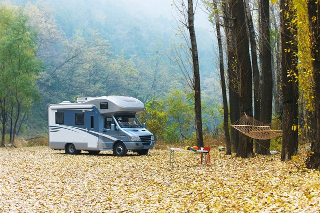 我到现在也没明白，是被逼着去学开车的还是自愿的？有同款吗？