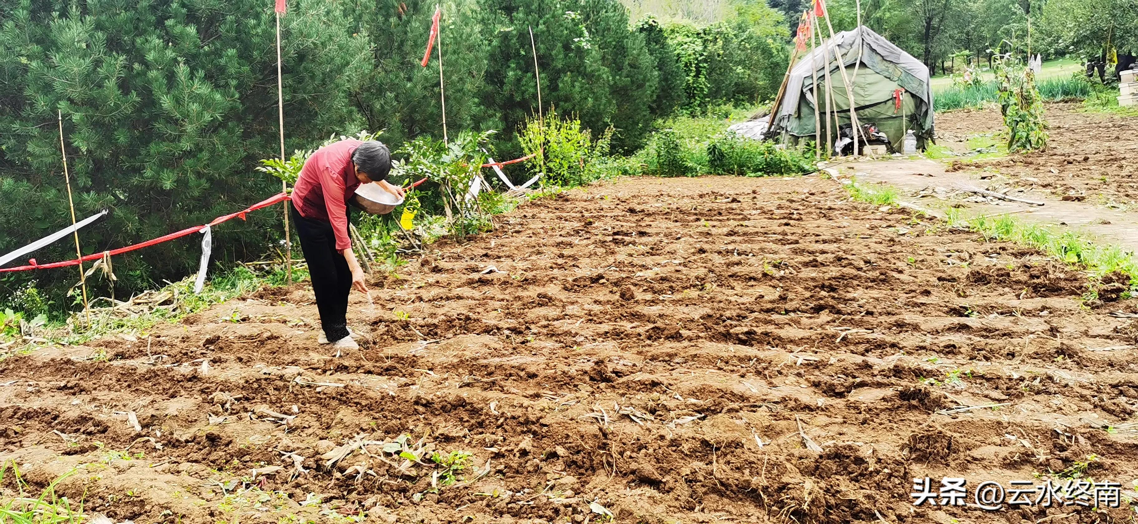 世界上最大室内植物园在哪,去世界上最大的动物园
