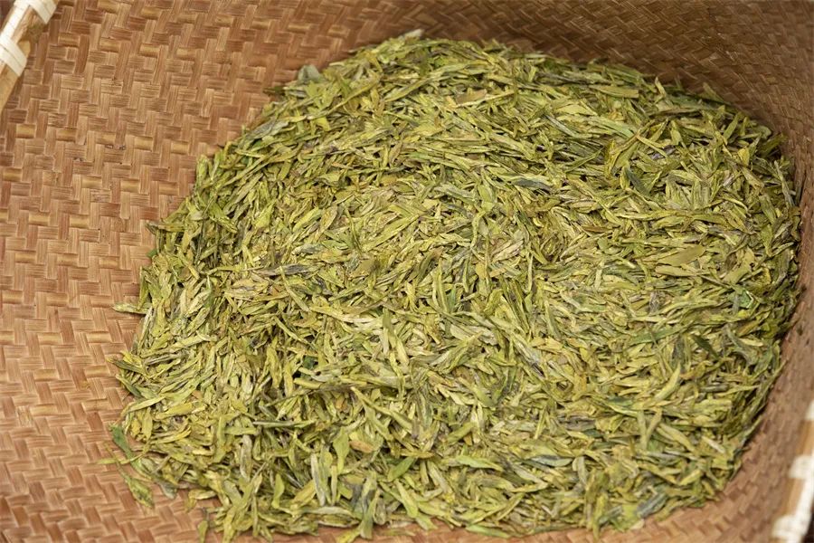 春茶买紧压茶还是散茶,如何判断春茶夏茶的区别