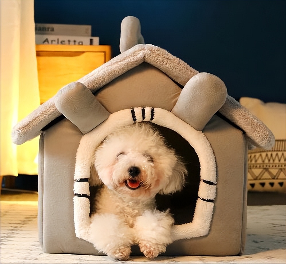 狗狗的年龄和人的年龄对照表,狗狗年龄与人类年龄对照表