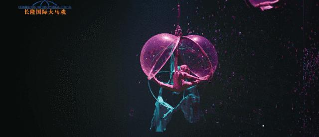 长隆动物园酒店两天一晚旅游攻略,长隆2天1夜熊猫酒店旅游攻略