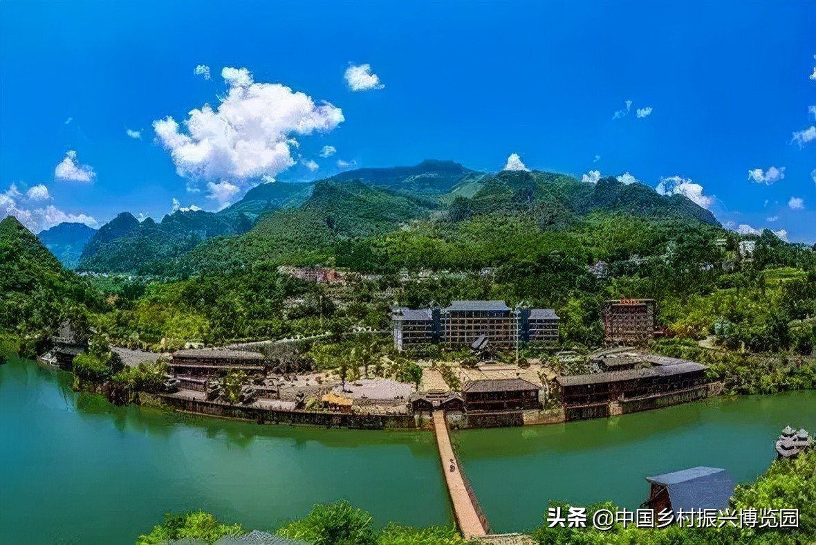 全国高校乡村振兴活动案例,乡村振兴巾帼行动优秀案例