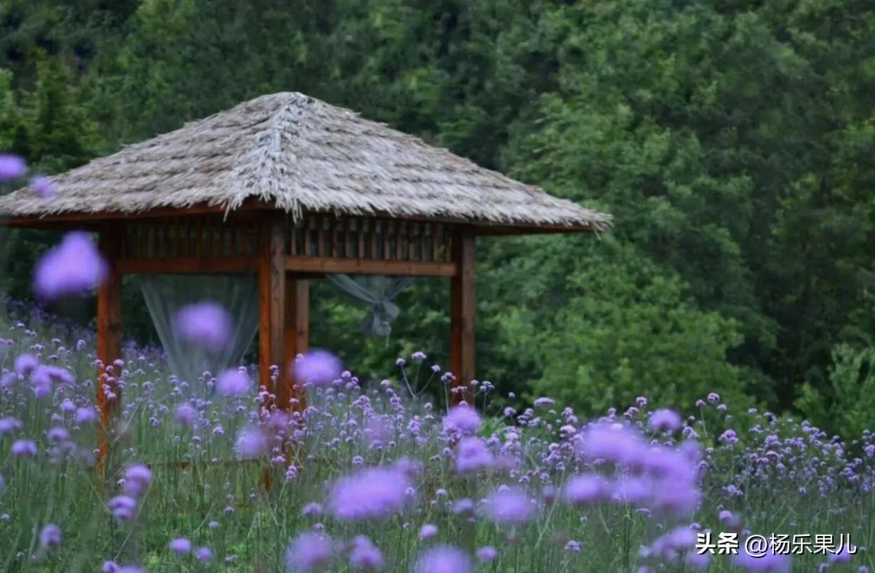 龙冠自然风景区万州,重庆万州风景区有哪些