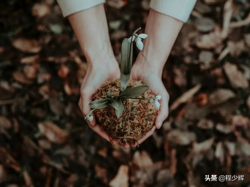 微商人特点有哪些,微商人如何转型