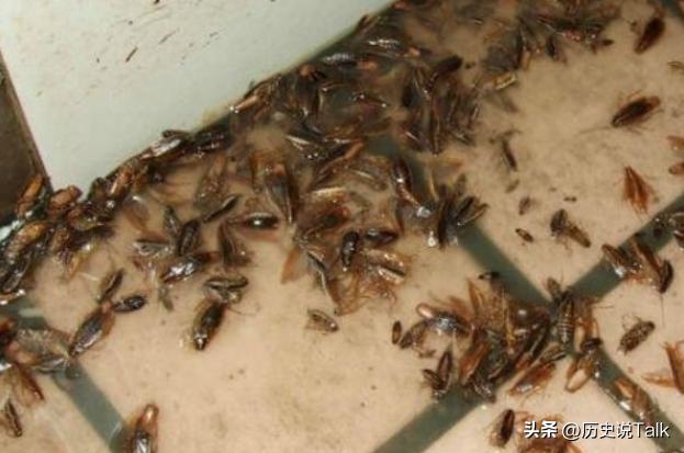 315之前，腌菜厂大汉竟然练成了“金刚脚”，“神药”使老人疯狂