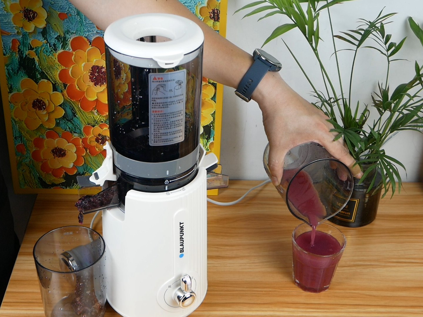 蓝宝的冰淇淋机,德国蓝宝榨汁杯冰淇淋