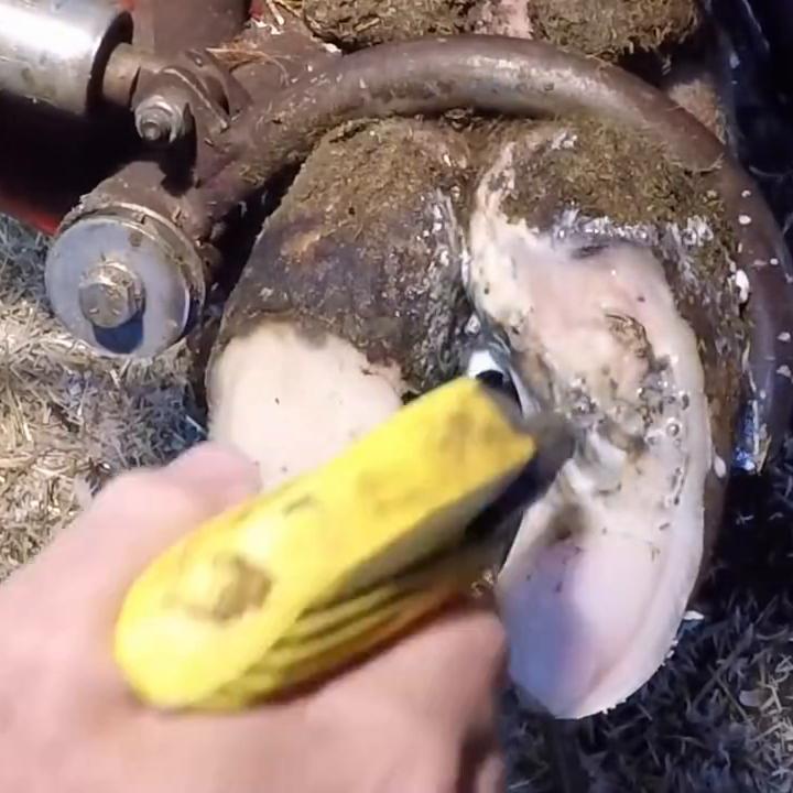 神魔游戏开启,万族争霸,血战神魔!#宝藏小说