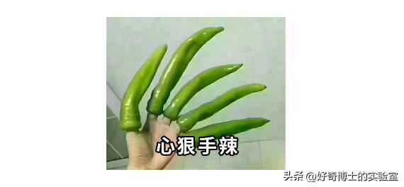 被央视曝光的致癌衣服,央视曝光致癌衣服视频