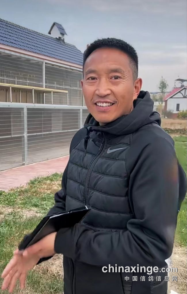 三年赢得百辆奖车职业赛场大显神威金石赛鸽团队