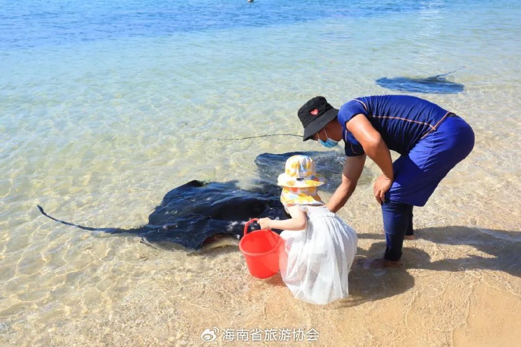 海南分界洲岛旅游区的个人主页,海南省分界洲岛海钓会所