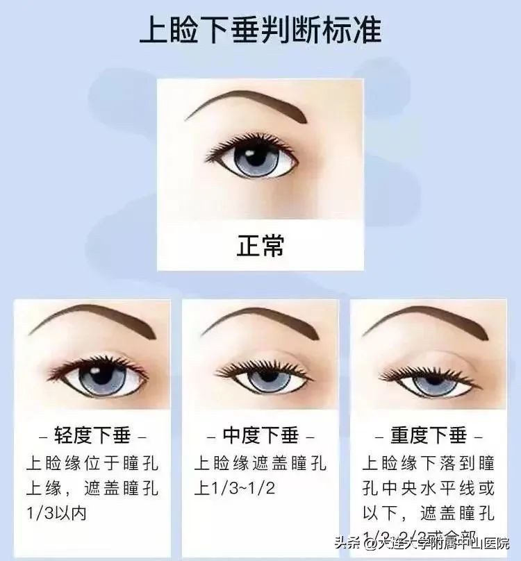 中山慈善万人行启动仪式,中山慈善现场直播