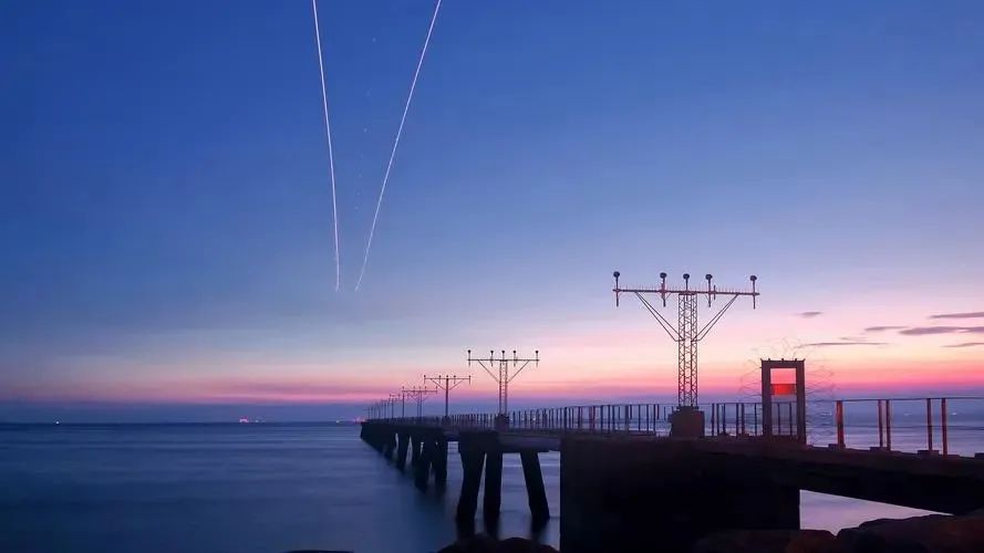 国宝大熊猫三年级下册作文范文,国宝大熊猫作文300字左右整篇