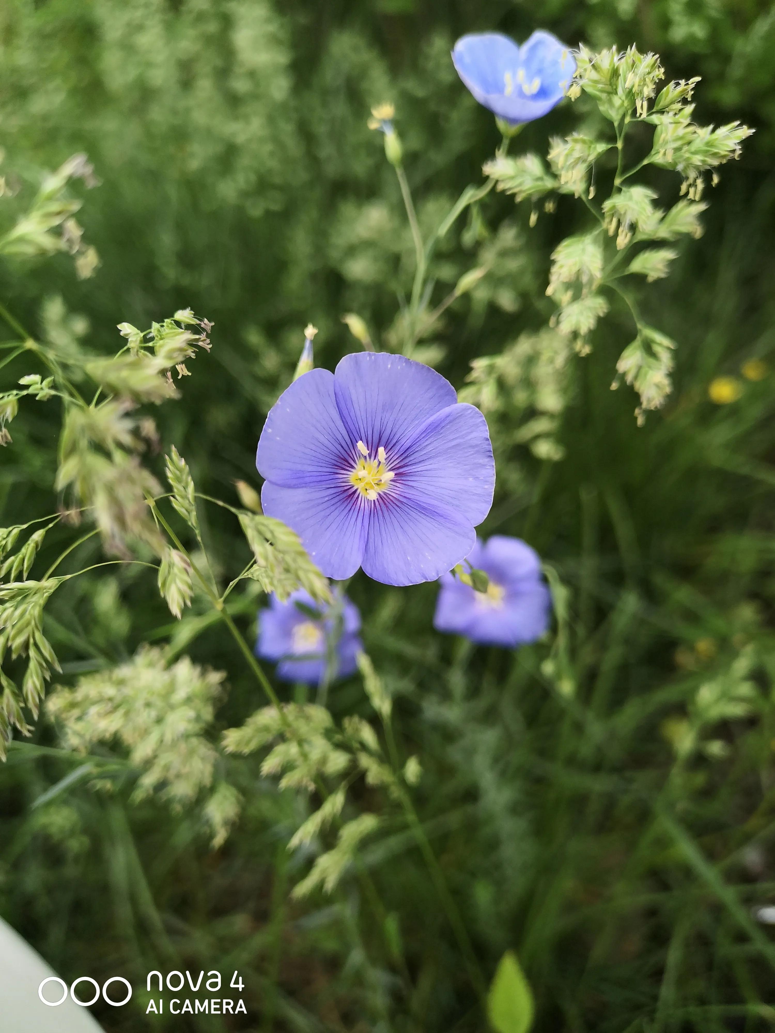 万能写作模板微头条,微头条写作套用公式