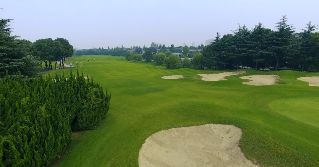 一个橄榄球球场,欧洲最有气氛的球场