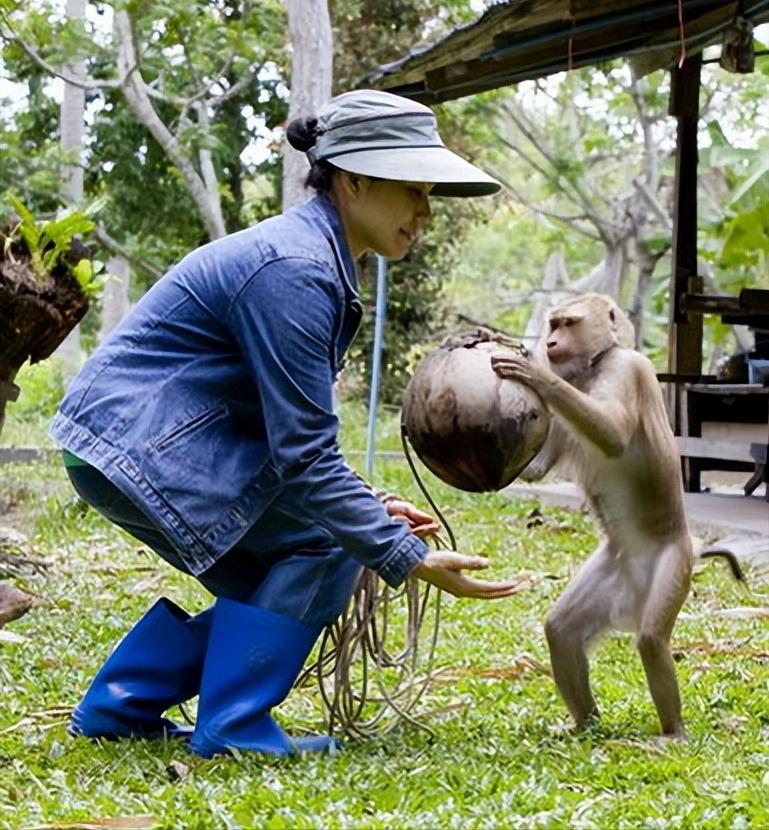 云南所有稀有动物猴子,云南稀有野生动物猴子