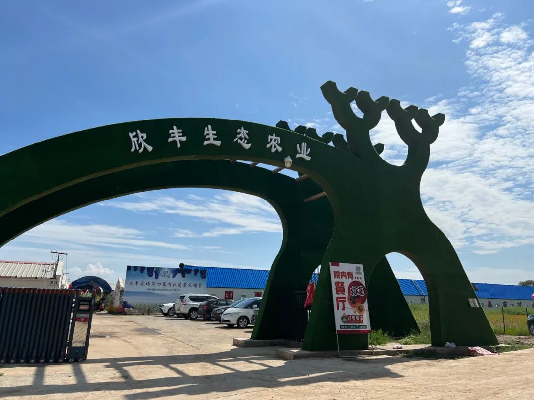 魅力赛罕秋意浓①｜金秋十月，来赛罕区见面的3种方式